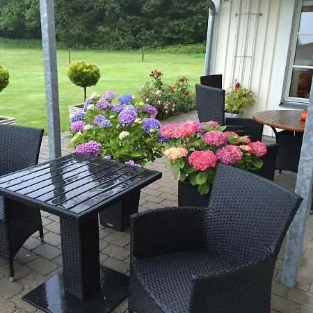 Rind Ridecenter Herning